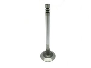 VALVE EXHAUST