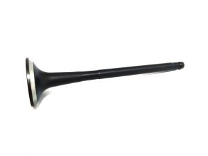 VALVE EXHAUST