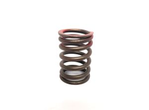 GUIDE-VALVE INTAKE