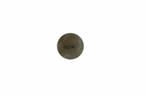 BOLT-VALVE