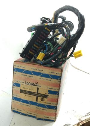 HARNESS ASSY-BODY
