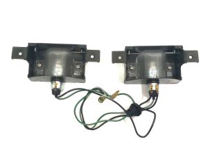 LAMP-ASSY LICENSE