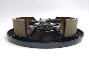 COMPLETE REAR BRAKE PLATE