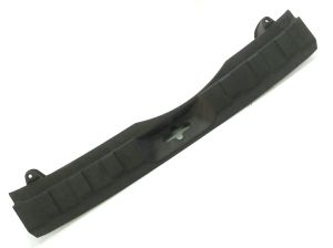 REAR DOOR MOLDING
